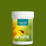 artemisia-annua-medium.jpg artemisia-annua-medium.jpg