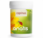 Coprinus Vitalpilz anatis Coprinus Vitalpilz
