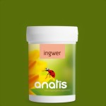 ingwer-medium-2.jpg ingwer-medium-2.jpg