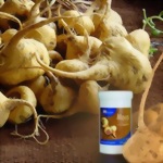 Maca + L-Arginin