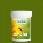 mariendistel_artischocke-medium.jpg mariendistel_artischocke-medium.jpg