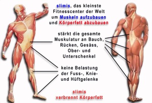 muskel6_0000-large.jpg