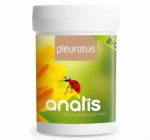 Pleurotus Vitalpilz Pleurotus Vitalpilz