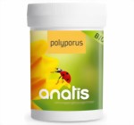 Polyporus Vitalpilz Polyporus Vitalpilz