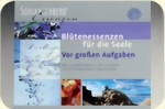 Essenzen Aufgaben